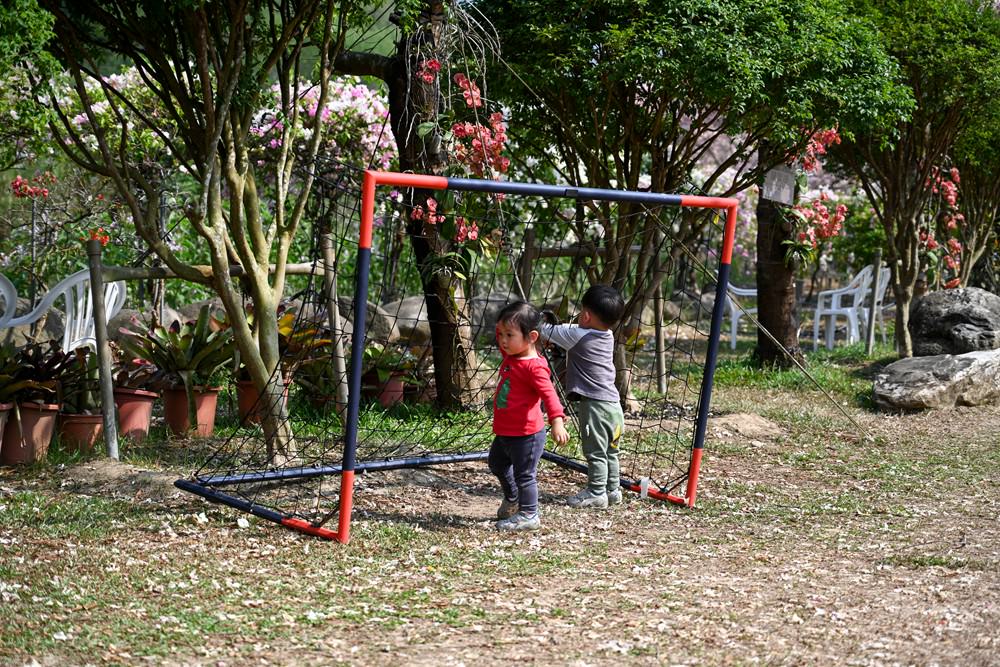 美濃蝶舞澗花旗木盛開 桃紅陣雨樹美炸 翠綠山谷中的世外桃源 抓住春天的尾巴