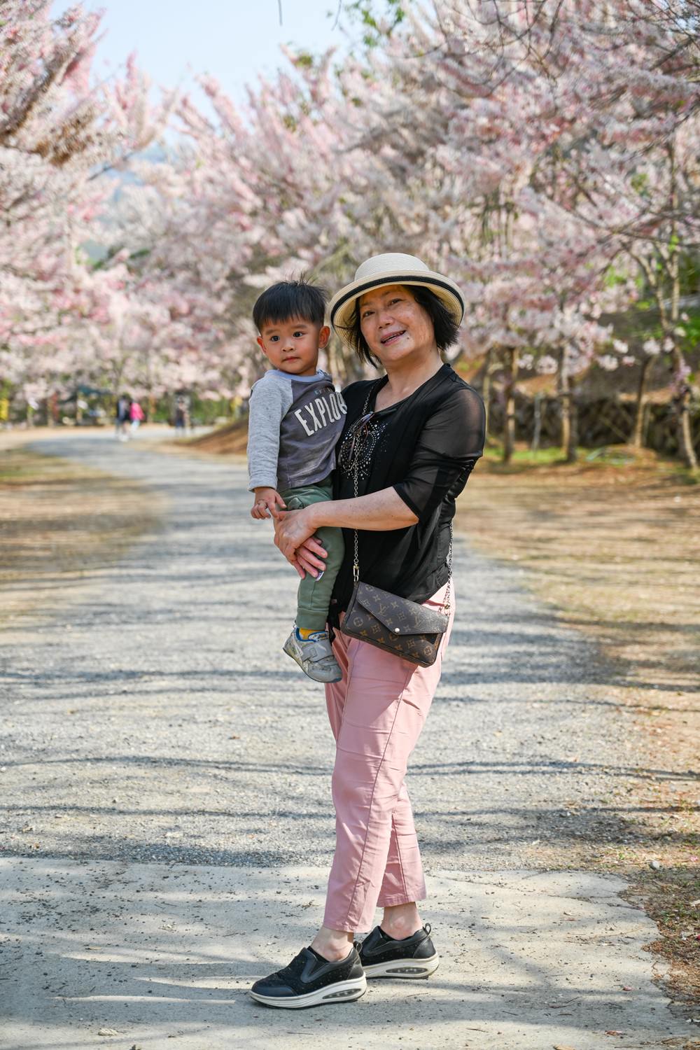 美濃蝶舞澗花旗木盛開 桃紅陣雨樹美炸 翠綠山谷中的世外桃源 抓住春天的尾巴