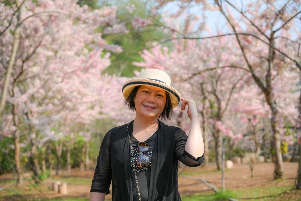 美濃蝶舞澗花旗木盛開 桃紅陣雨樹美炸 翠綠山谷中的世外桃源 抓住春天的尾巴