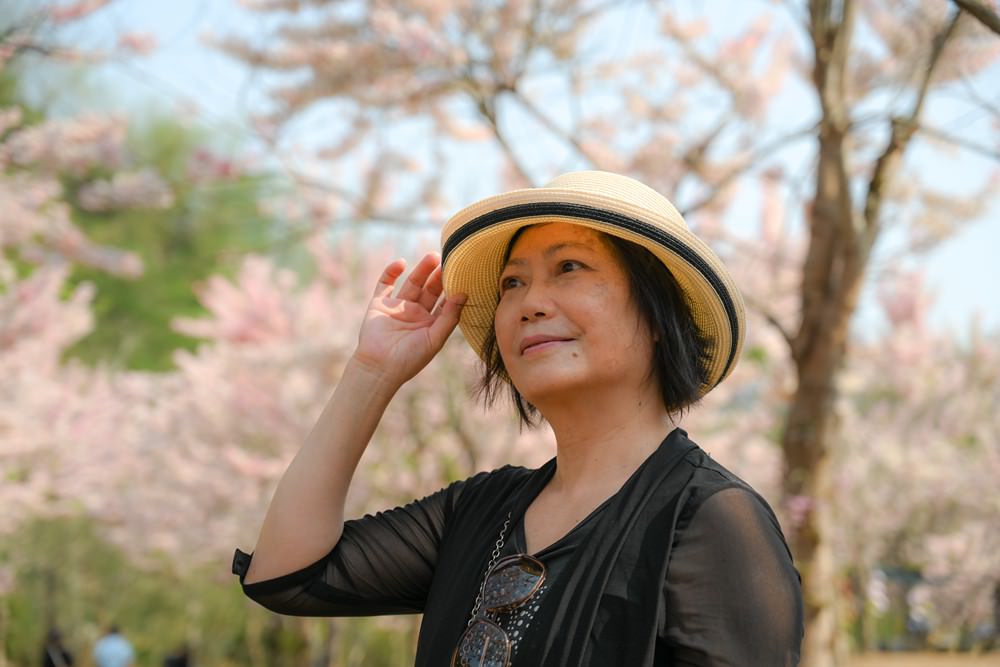 美濃蝶舞澗花旗木盛開 桃紅陣雨樹美炸 翠綠山谷中的世外桃源 抓住春天的尾巴