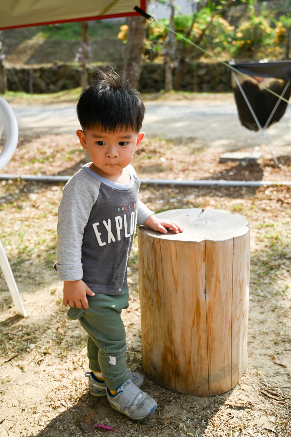 美濃蝶舞澗花旗木盛開 桃紅陣雨樹美炸 翠綠山谷中的世外桃源 抓住春天的尾巴