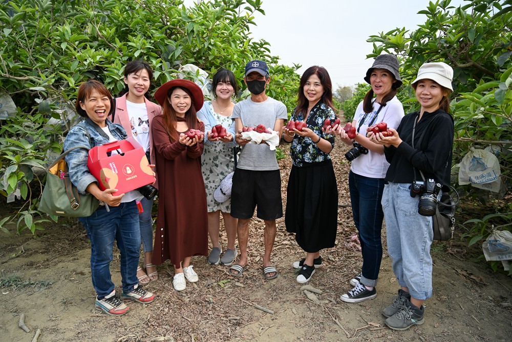高雄紅蜜蓮霧 甜度16.9爆表 國產外銷等級 今年最後一收 慢來買嘸!