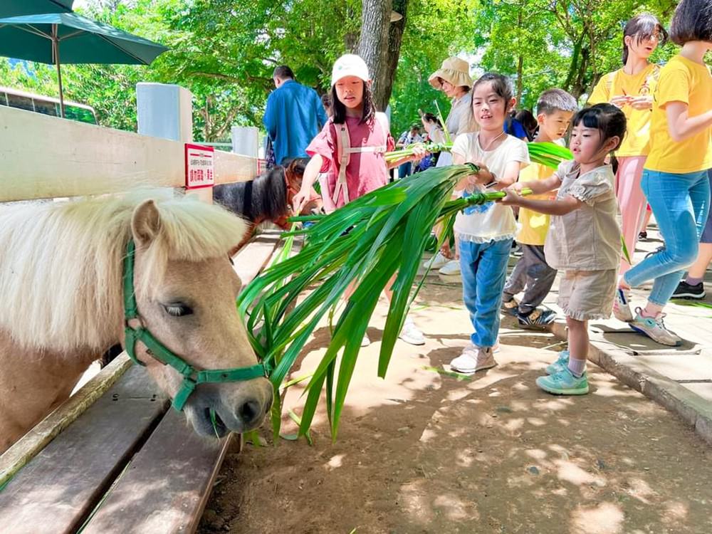 台東住宿推薦｜太陽升起的地方 太麻里曙光渡假 初鹿之境 夜探小野柳 排灣族部落豐收祭 太麻里平交道 多良車站 三天兩夜家族親子旅遊