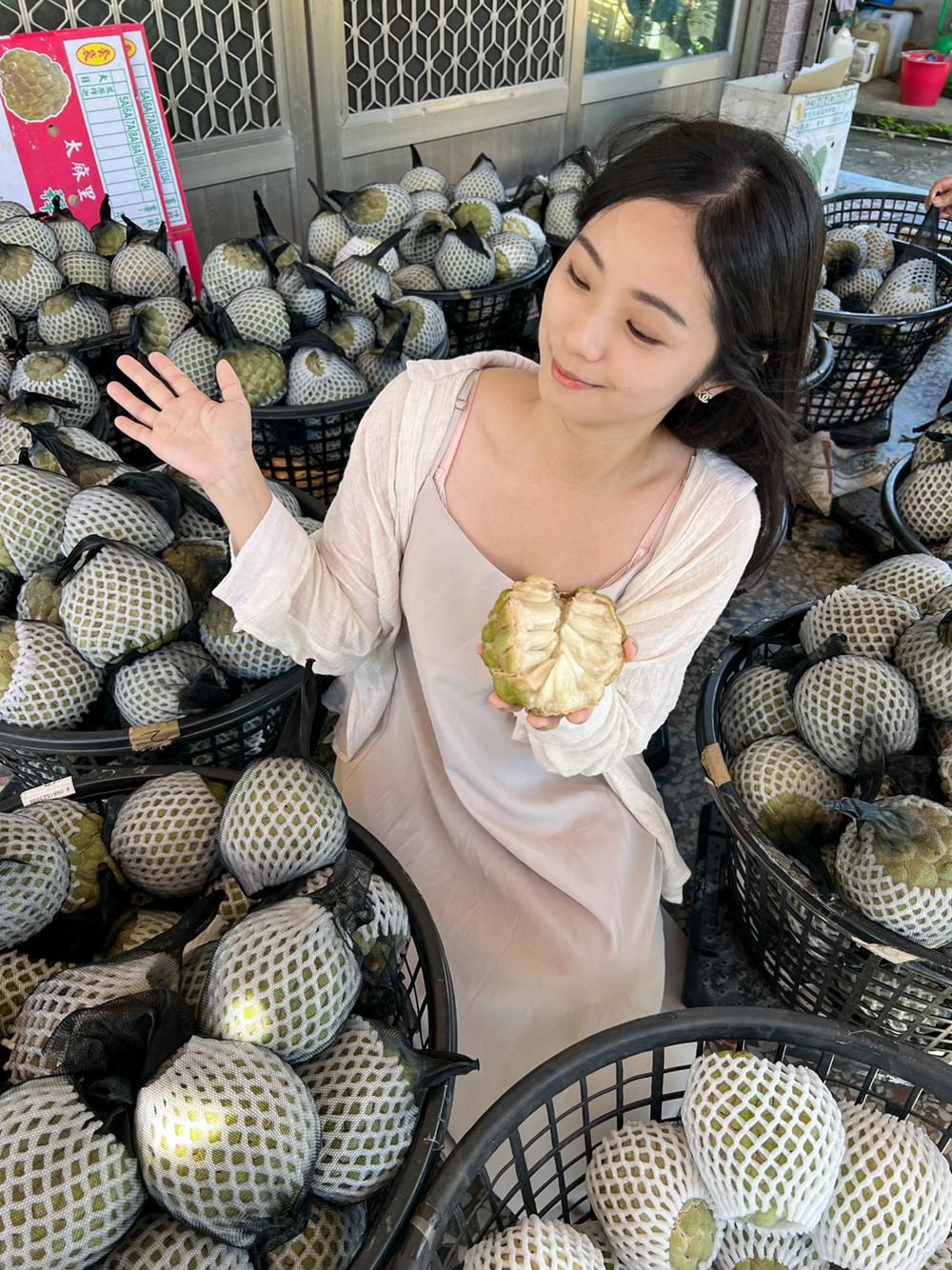 台東住宿推薦｜太陽升起的地方 太麻里曙光渡假 初鹿之境 夜探小野柳 排灣族部落豐收祭 太麻里平交道 多良車站 三天兩夜家族親子旅遊