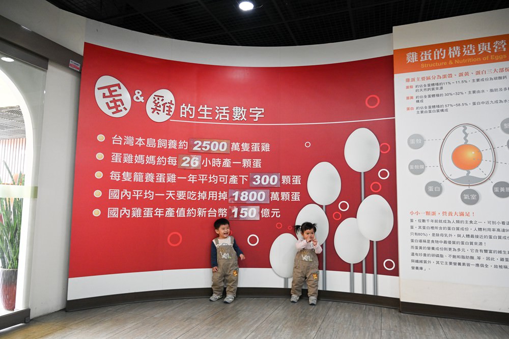 嘉義觀光工廠推薦｜勤億蛋品夢工場 蛋捲DIY 認識好蛋 品嚐滴雞精 工廠實境秀 蛋品科技親子旅行