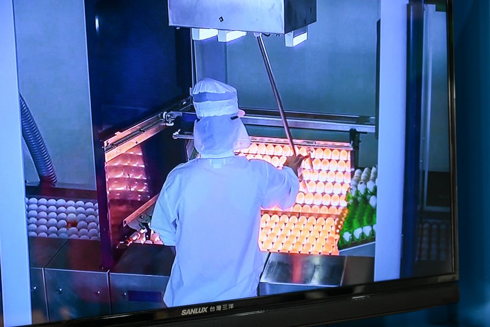 嘉義觀光工廠推薦｜勤億蛋品夢工場 蛋捲DIY 認識好蛋 品嚐滴雞精 工廠實境秀 蛋品科技親子旅行