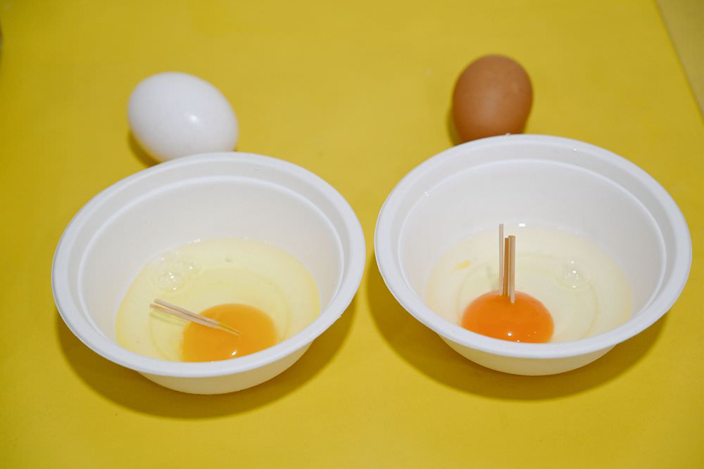 嘉義觀光工廠推薦｜勤億蛋品夢工場 蛋捲DIY 認識好蛋 品嚐滴雞精 工廠實境秀 蛋品科技親子旅行