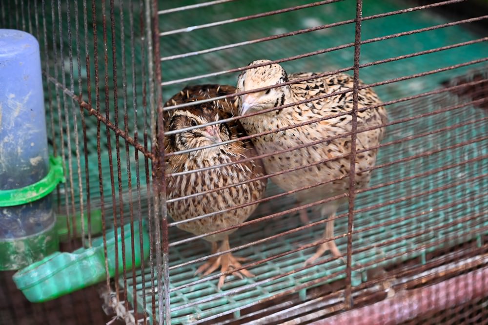 屏東縣民公園 農工循環基地-屏食力特展  屏東優質店家 羅勒美食/私房甜點 屏東旅遊推薦