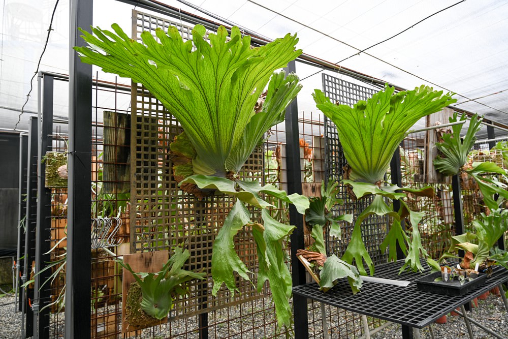 屏東縣民公園 農工循環基地-屏食力特展  屏東優質店家 羅勒美食/私房甜點 屏東旅遊推薦