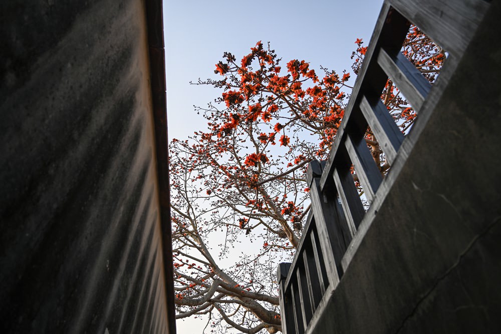 金門自駕旅遊 租車推薦 在地美食必買伴手禮 紅粿DIY 金門住宿景點 吃喝玩樂懶人包