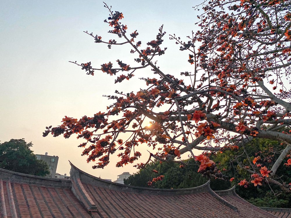 金門自駕旅遊 租車推薦 在地美食必買伴手禮 紅粿DIY 金門住宿景點 吃喝玩樂懶人包