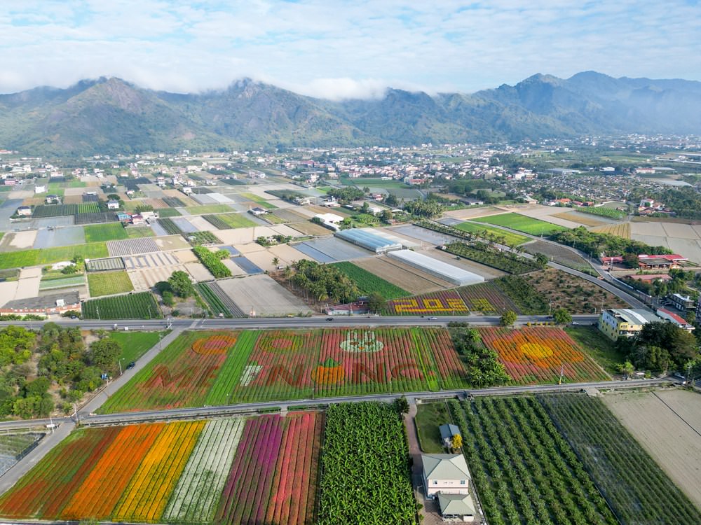 高雄美濃旅遊推薦｜GO兔美濃賞花趣 六大花區 裝置藝術 老街巡禮 幸福花海美拍 春節口袋名單