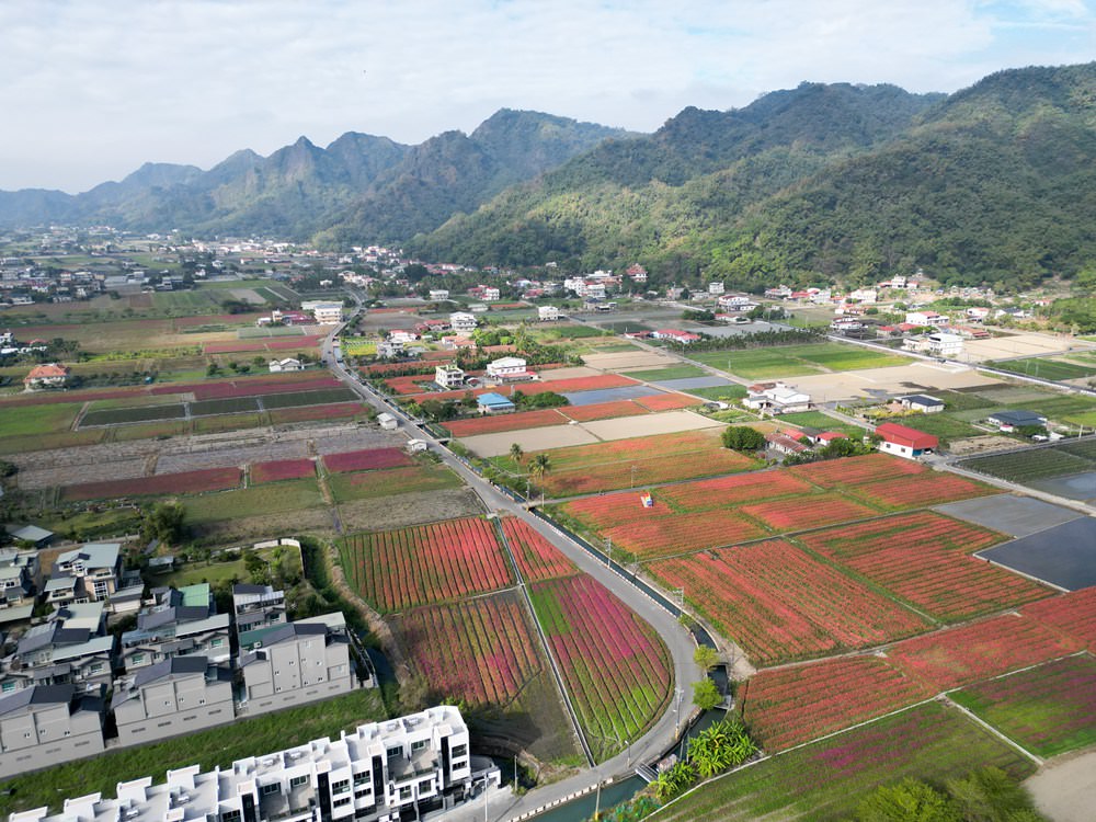 高雄美濃旅遊推薦｜GO兔美濃賞花趣 六大花區 裝置藝術 老街巡禮 幸福花海美拍 春節口袋名單