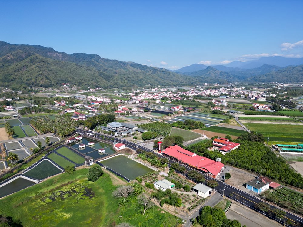 高雄美濃旅遊推薦｜GO兔美濃賞花趣 六大花區 裝置藝術 老街巡禮 幸福花海美拍 春節口袋名單