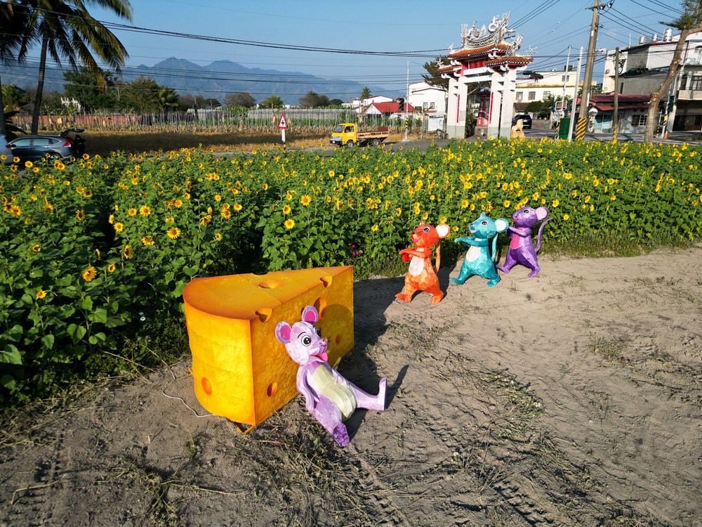 高雄美濃旅遊推薦｜GO兔美濃賞花趣 六大花區 裝置藝術 老街巡禮 幸福花海美拍 春節口袋名單