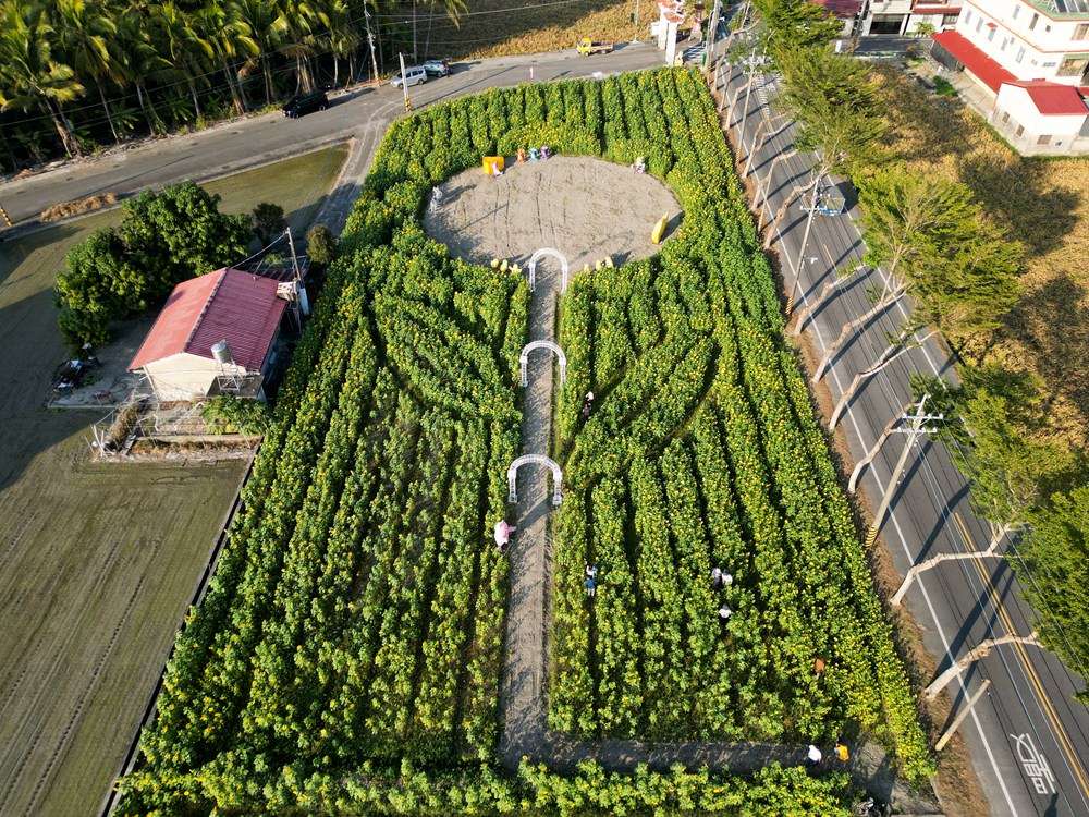 高雄美濃旅遊推薦｜GO兔美濃賞花趣 六大花區 裝置藝術 老街巡禮 幸福花海美拍 春節口袋名單