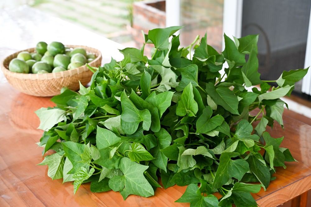 滿州民宿推薦|晨之丘度假小屋 恆春半島之美 偶像劇般的場景 獨棟包棟2-6人 自助生活 Kenting National Park 瀑布/咖啡/秘境 - 第25張圖 滿州民宿推薦|晨之丘度假小屋 恆春半島之美 偶像劇般的場景 獨棟包棟2-6人 自助生活 Kenting National Park 瀑布/咖啡/秘境