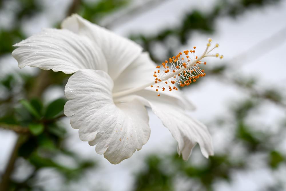 滿州民宿推薦|晨之丘度假小屋 恆春半島之美 偶像劇般的場景 獨棟包棟2-6人 自助生活 Kenting National Park 瀑布/咖啡/秘境 - 第43張圖 滿州民宿推薦|晨之丘度假小屋 恆春半島之美 偶像劇般的場景 獨棟包棟2-6人 自助生活 Kenting National Park 瀑布/咖啡/秘境