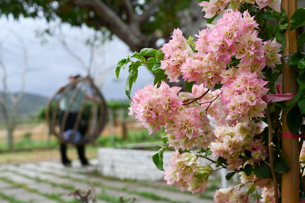 滿州民宿推薦|晨之丘度假小屋 恆春半島之美 偶像劇般的場景 獨棟包棟2-6人 自助生活 Kenting National Park 瀑布/咖啡/秘境 - 第42張圖 滿州民宿推薦|晨之丘度假小屋 恆春半島之美 偶像劇般的場景 獨棟包棟2-6人 自助生活 Kenting National Park 瀑布/咖啡/秘境