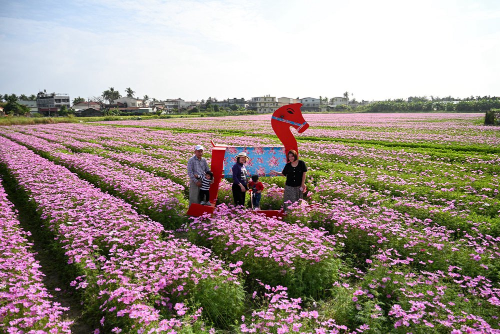 高雄美濃旅遊推薦｜GO兔美濃賞花趣 六大花區 裝置藝術 老街巡禮 幸福花海美拍 春節口袋名單