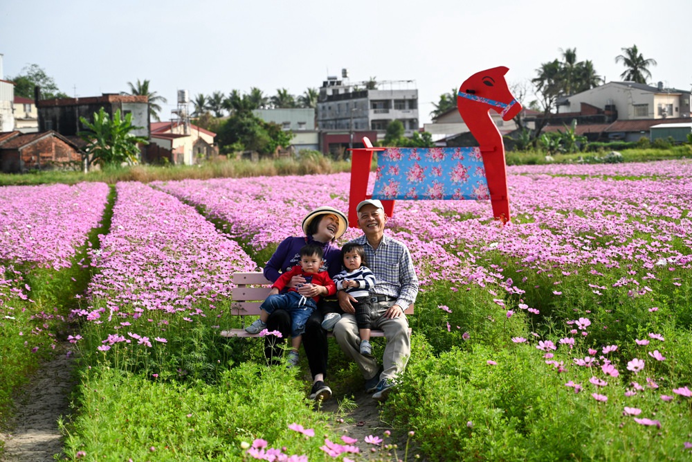 高雄美濃旅遊推薦｜GO兔美濃賞花趣 六大花區 裝置藝術 老街巡禮 幸福花海美拍 春節口袋名單