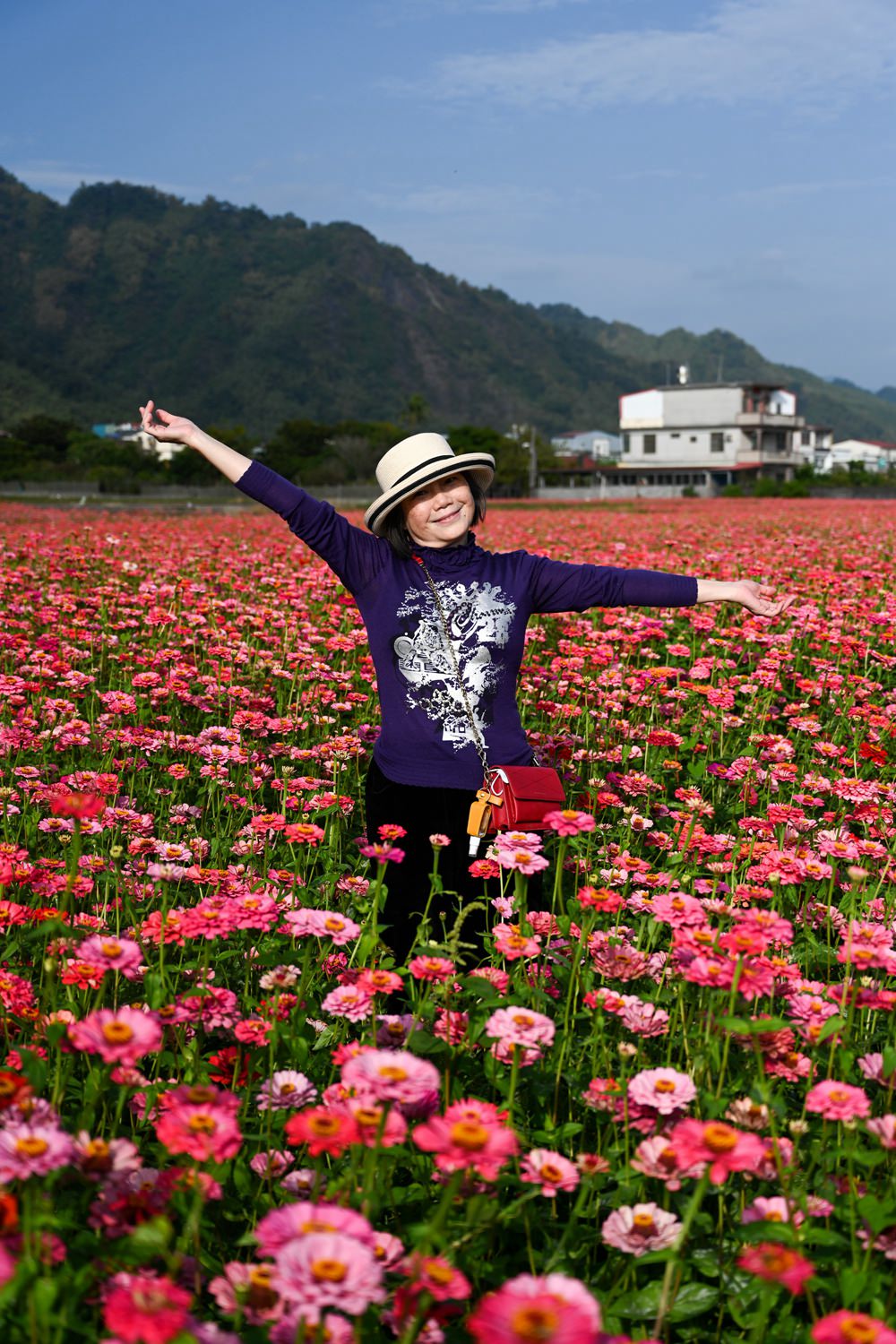 高雄美濃旅遊推薦｜GO兔美濃賞花趣 六大花區 裝置藝術 老街巡禮 幸福花海美拍 春節口袋名單
