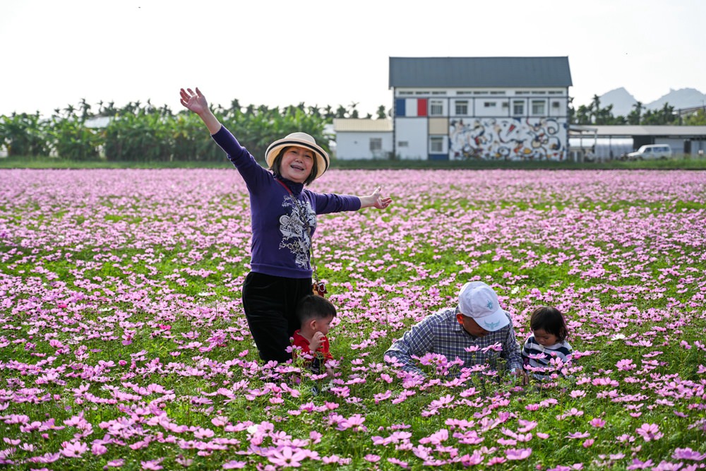 高雄美濃旅遊推薦｜GO兔美濃賞花趣 六大花區 裝置藝術 老街巡禮 幸福花海美拍 春節口袋名單