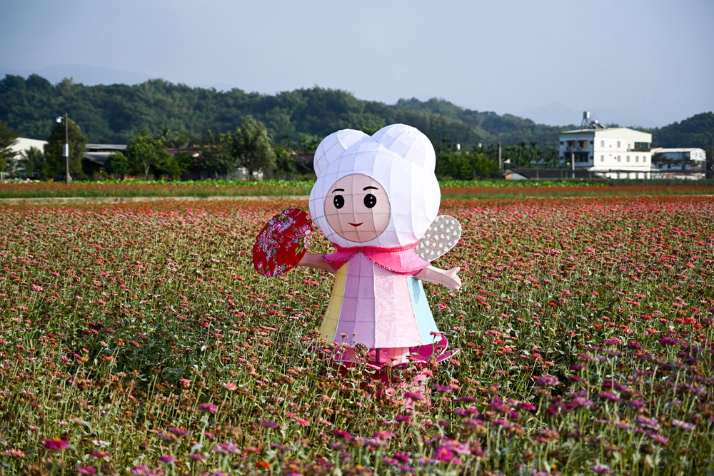 高雄美濃旅遊推薦｜GO兔美濃賞花趣 六大花區 裝置藝術 老街巡禮 幸福花海美拍 春節口袋名單