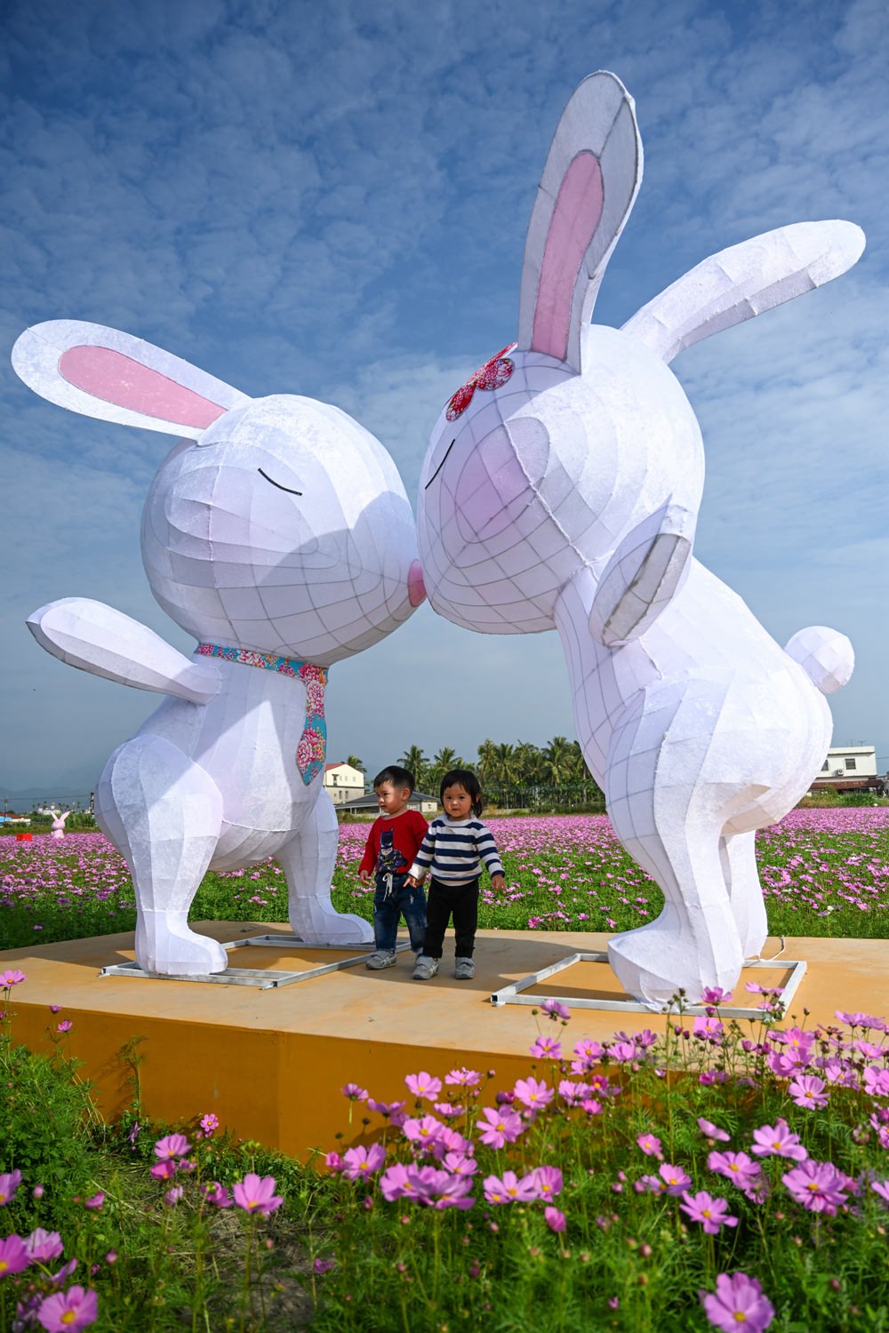高雄美濃旅遊推薦｜GO兔美濃賞花趣 六大花區 裝置藝術 老街巡禮 幸福花海美拍 春節口袋名單