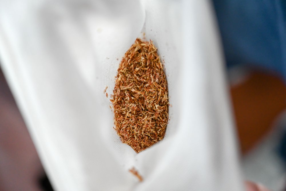 屏東親子旅遊景點｜六堆客家文化園區 客家米食DIY &手洗愛玉，六堆好味緒報名中! 單車漫遊、賞螢露營、遊憩沙坑、小星球兒童館、展覽與文化體驗，讓我們一同走訪六堆好所在!