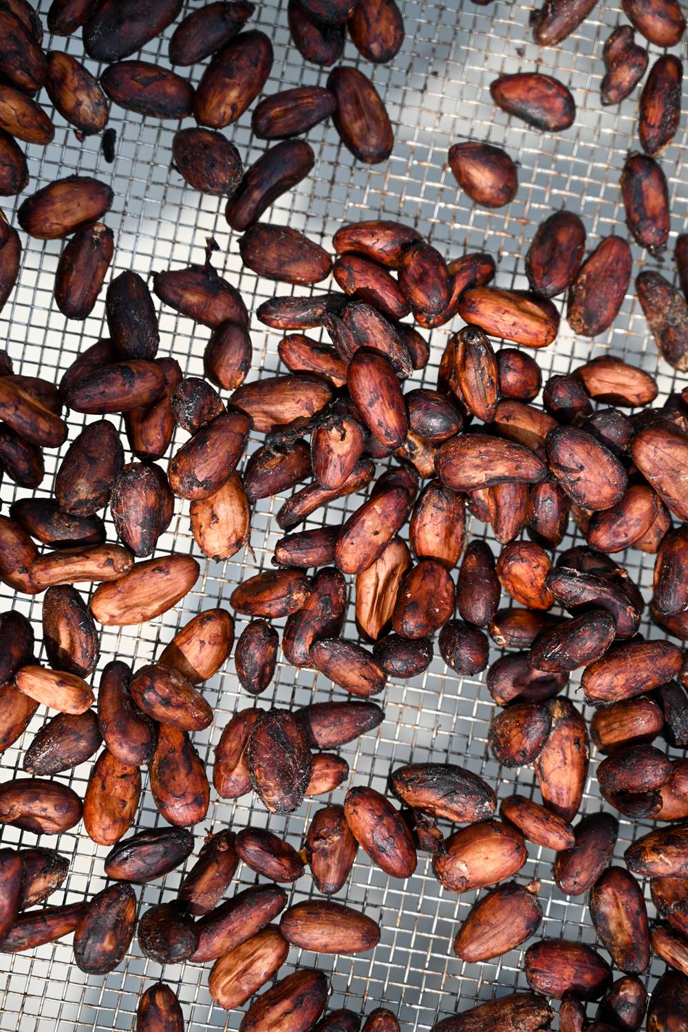 屏菸原民館「185深呼吸」特展，來趟沿山公路小旅行，3/30「185深呼吸市集」邀起大家一起來!