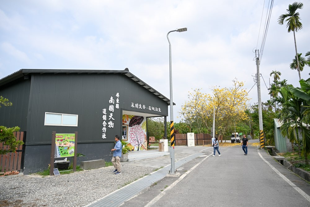 屏菸原民館「185深呼吸」特展，來趟沿山公路小旅行，3/30「185深呼吸市集」邀起大家一起來!