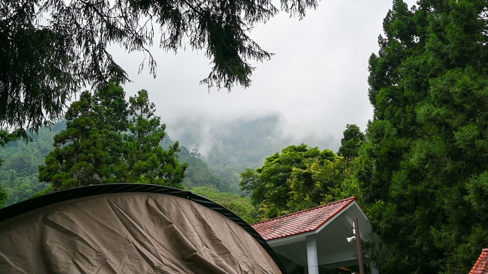 思旅 Think Travel | 溪頭懶人露營 森林健行 主廚私房料理，鹿谷小半天竹林茶席 茶餅DIY 特色竹筒飯，一趟與大自然連結的團體旅行!