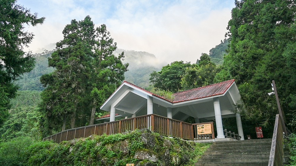 思旅 Think Travel | 溪頭懶人露營 森林健行 主廚私房料理，鹿谷小半天竹林茶席 茶餅DIY 特色竹筒飯，一趟與大自然連結的團體旅行!