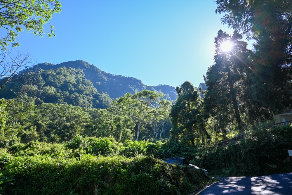 思旅 Think Travel | 溪頭懶人露營 森林健行 主廚私房料理，鹿谷小半天竹林茶席 茶餅DIY 特色竹筒飯，一趟與大自然連結的團體旅行!