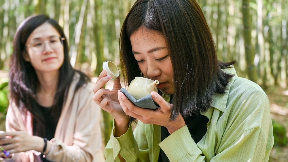 思旅 Think Travel | 溪頭懶人露營 森林健行 主廚私房料理，鹿谷小半天竹林茶席 茶餅DIY 特色竹筒飯，一趟與大自然連結的團體旅行!