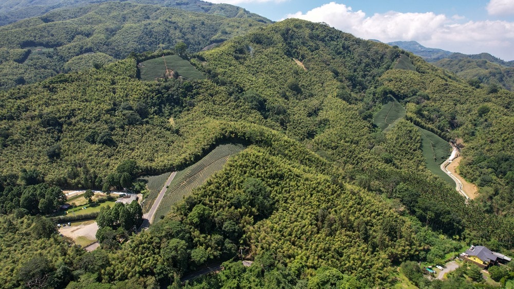 思旅 Think Travel | 溪頭懶人露營 森林健行 主廚私房料理,鹿谷小半天竹林茶席 茶餅DIY 特色竹筒飯,一趟與大自然連結的團體旅行! - 第70張圖 思旅 Think Travel | 溪頭懶人露營 森林健行 主廚私房料理,鹿谷小半天竹林茶席 茶餅DIY 特色竹筒飯,一趟與大自然連結的團體旅行!
