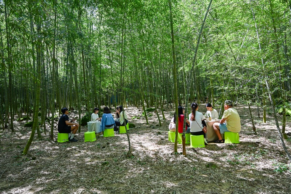 思旅 Think Travel | 溪頭懶人露營 森林健行 主廚私房料理，鹿谷小半天竹林茶席 茶餅DIY 特色竹筒飯，一趟與大自然連結的團體旅行!