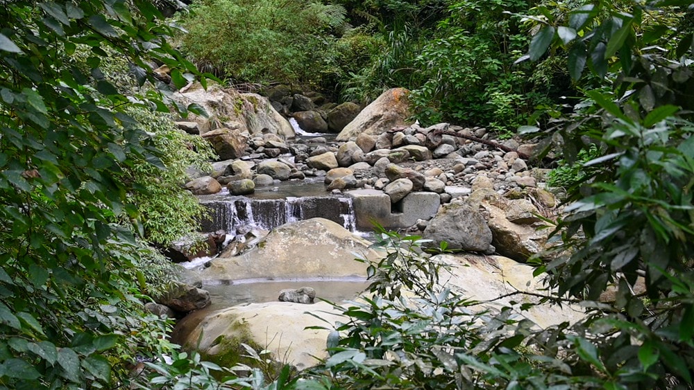 思旅 Think Travel | 溪頭懶人露營 森林健行 主廚私房料理,鹿谷小半天竹林茶席 茶餅DIY 特色竹筒飯,一趟與大自然連結的團體旅行! - 第12張圖 思旅 Think Travel | 溪頭懶人露營 森林健行 主廚私房料理,鹿谷小半天竹林茶席 茶餅DIY 特色竹筒飯,一趟與大自然連結的團體旅行!