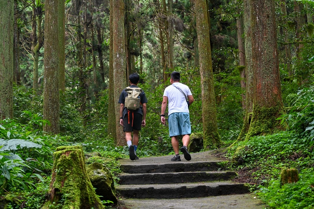 思旅 Think Travel | 溪頭懶人露營 森林健行 主廚私房料理,鹿谷小半天竹林茶席 茶餅DIY 特色竹筒飯,一趟與大自然連結的團體旅行! - 第99張圖 思旅 Think Travel | 溪頭懶人露營 森林健行 主廚私房料理,鹿谷小半天竹林茶席 茶餅DIY 特色竹筒飯,一趟與大自然連結的團體旅行!