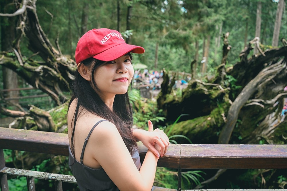 思旅 Think Travel | 溪頭懶人露營 森林健行 主廚私房料理，鹿谷小半天竹林茶席 茶餅DIY 特色竹筒飯，一趟與大自然連結的團體旅行!