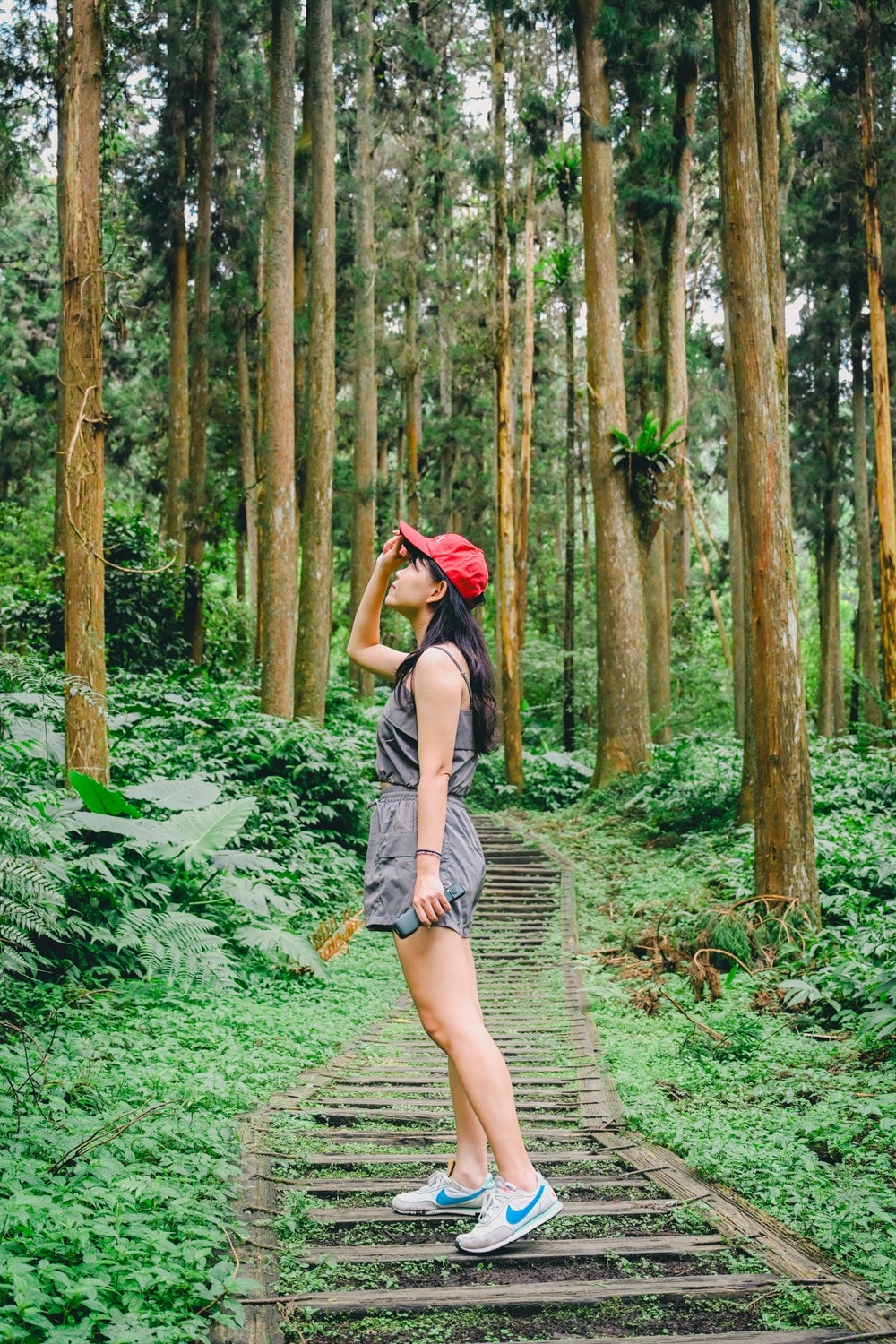 思旅 Think Travel | 溪頭懶人露營 森林健行 主廚私房料理,鹿谷小半天竹林茶席 茶餅DIY 特色竹筒飯,一趟與大自然連結的團體旅行! - 第4張圖 思旅 Think Travel | 溪頭懶人露營 森林健行 主廚私房料理,鹿谷小半天竹林茶席 茶餅DIY 特色竹筒飯,一趟與大自然連結的團體旅行!