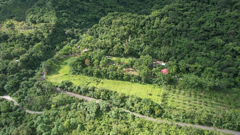 原野香憩，舌尖上的臺東風土食旅，療癒香氛、星空餐桌、龍田走讀、手做料理、五感品茶體驗，南島療癒旅行!