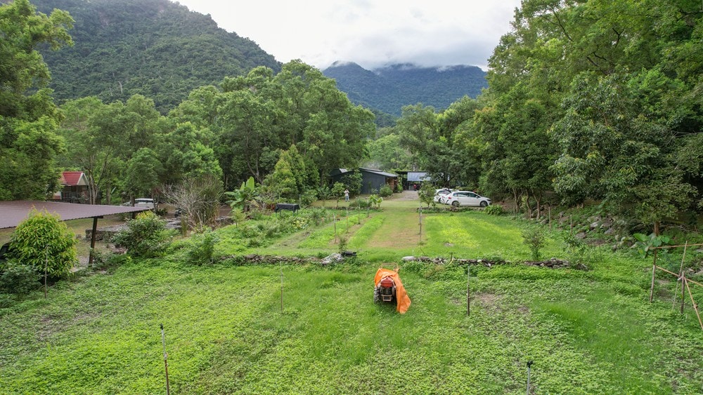 原野香憩，舌尖上的臺東風土食旅，療癒香氛、星空餐桌、龍田走讀、手做料理、五感品茶體驗，南島療癒旅行!