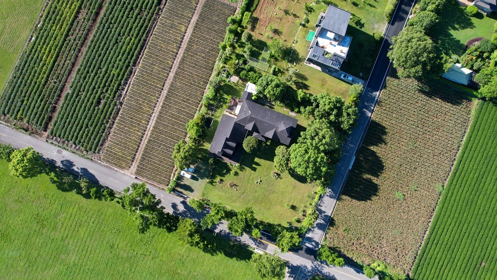 原野香憩，舌尖上的臺東風土食旅，療癒香氛、星空餐桌、龍田走讀、手做料理、五感品茶體驗，南島療癒旅行!