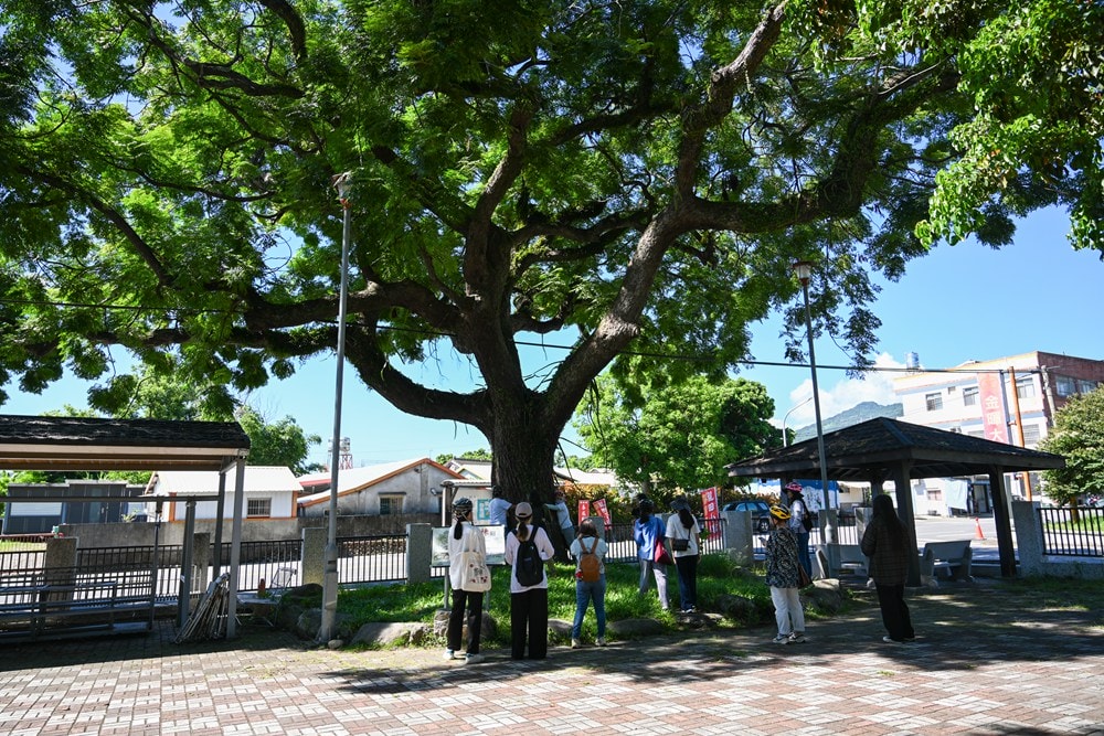 原野香憩，舌尖上的臺東風土食旅，療癒香氛、星空餐桌、龍田走讀、手做料理、五感品茶體驗，南島療癒旅行!