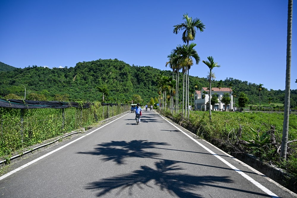 原野香憩，舌尖上的臺東風土食旅，療癒香氛、星空餐桌、龍田走讀、手做料理、五感品茶體驗，南島療癒旅行!