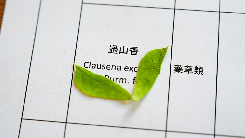 原野香憩，舌尖上的臺東風土食旅，療癒香氛、星空餐桌、龍田走讀、手做料理、五感品茶體驗，南島療癒旅行!