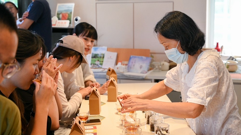 原野香憩，舌尖上的臺東風土食旅，療癒香氛、星空餐桌、龍田走讀、手做料理、五感品茶體驗，南島療癒旅行!