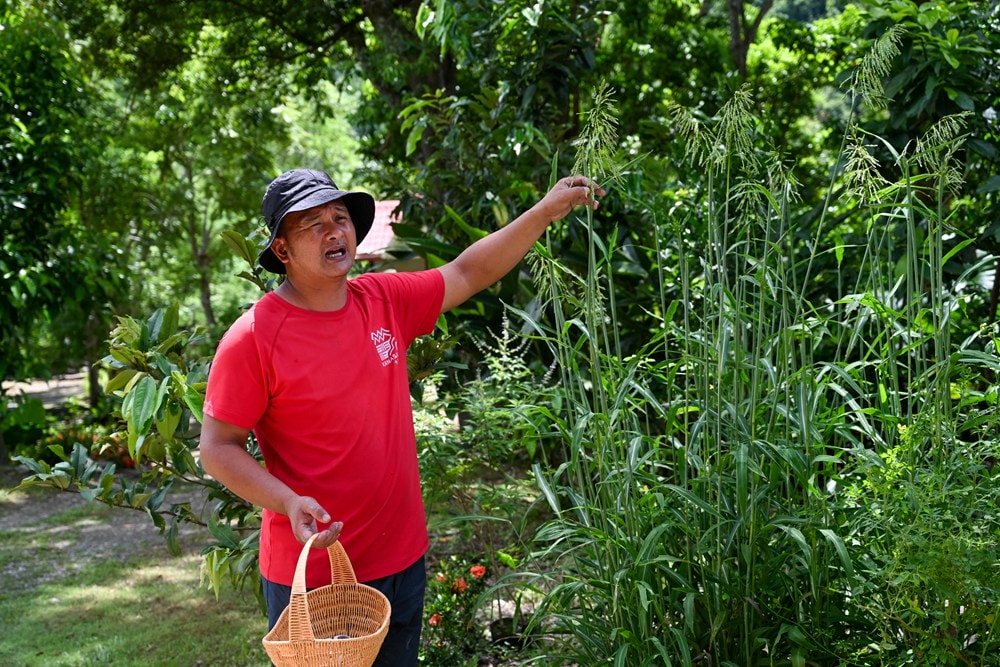 原野香憩，舌尖上的臺東風土食旅，療癒香氛、星空餐桌、龍田走讀、手做料理、五感品茶體驗，南島療癒旅行!